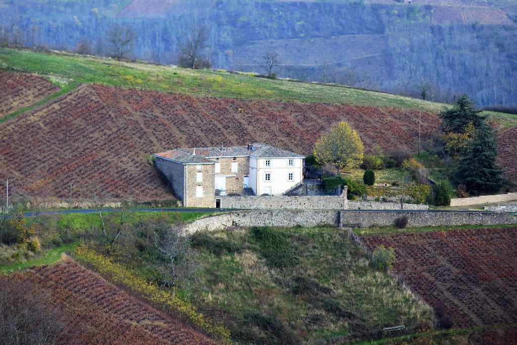 Propriété Beaujolaise entourée de vignes 460 000 290 m2 habitable
