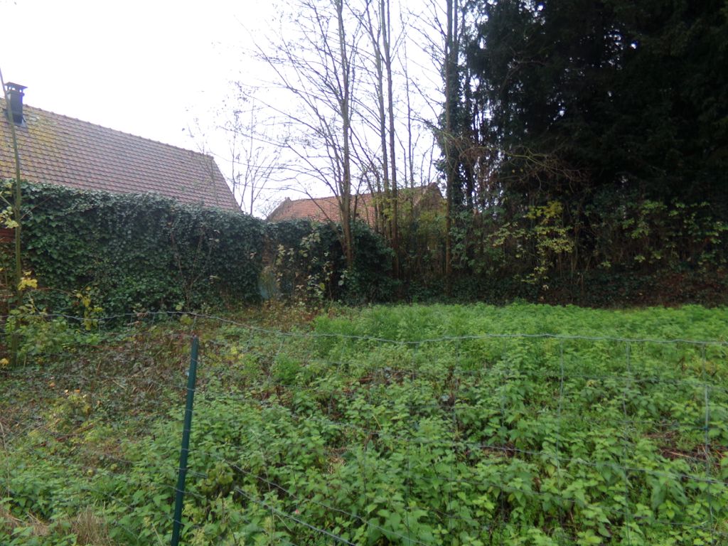 VITRY-EN-ARTOIS terrain constructible centre ville 62490 vitry en artois 4