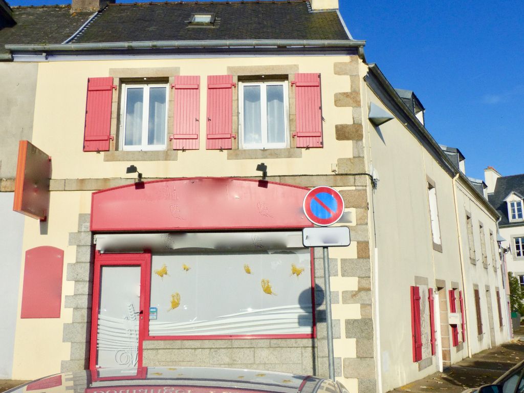 Immeuble Morlaix 8 pièce(s) 220 m2