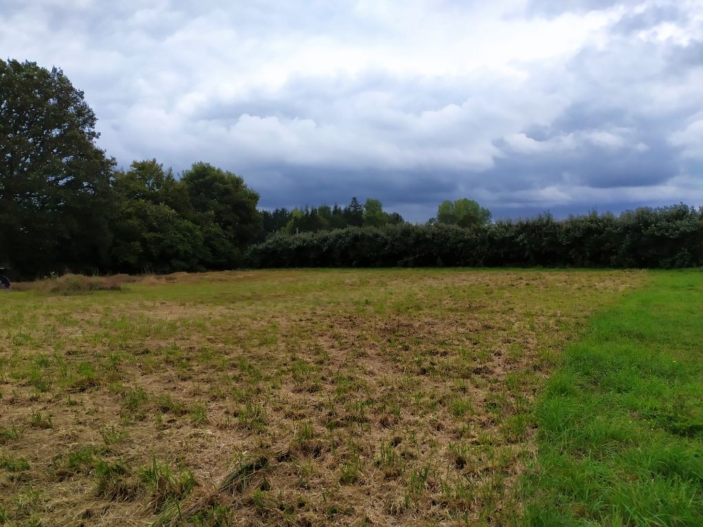 Terrain 2490 m2 constructible à petit prix