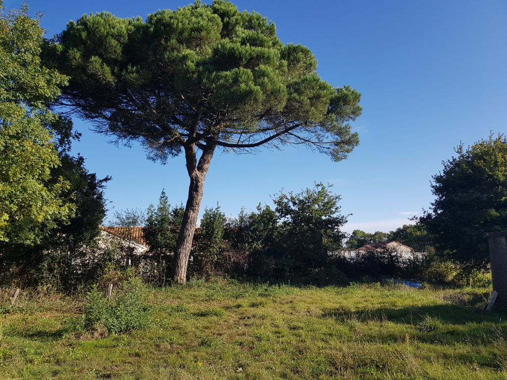 Terrain Saint Brevin Les Pins 810 m2