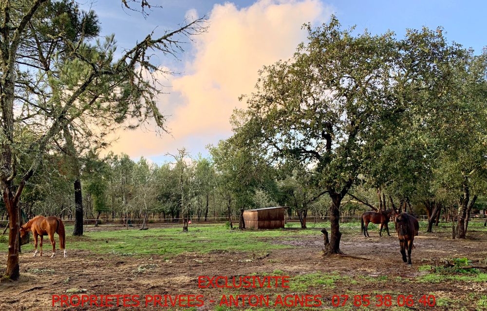 Salles 33770 Propriété équestre Maison 7 pièces  sur 4,4 hectares