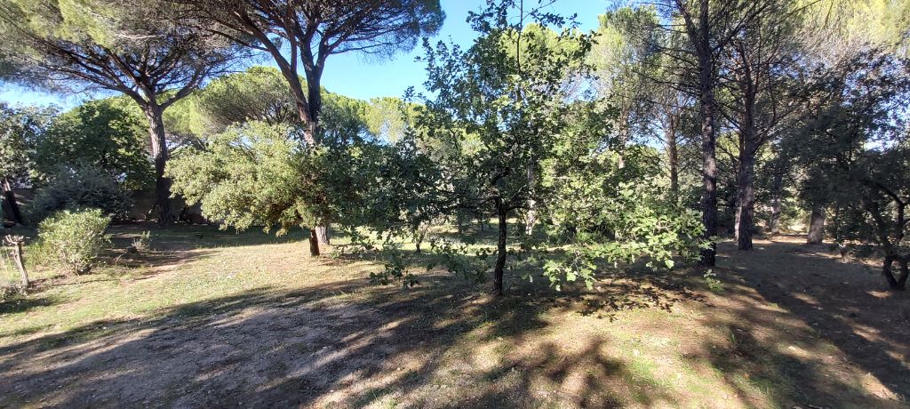 Terrain constructible Vidauban 2000 m2