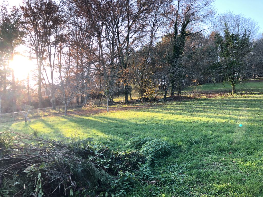 Lot de 4 terrains arborés dont 1346m² constructible ( sur parcelle totale de 2944m²) au calme sur Chateau L Eveque