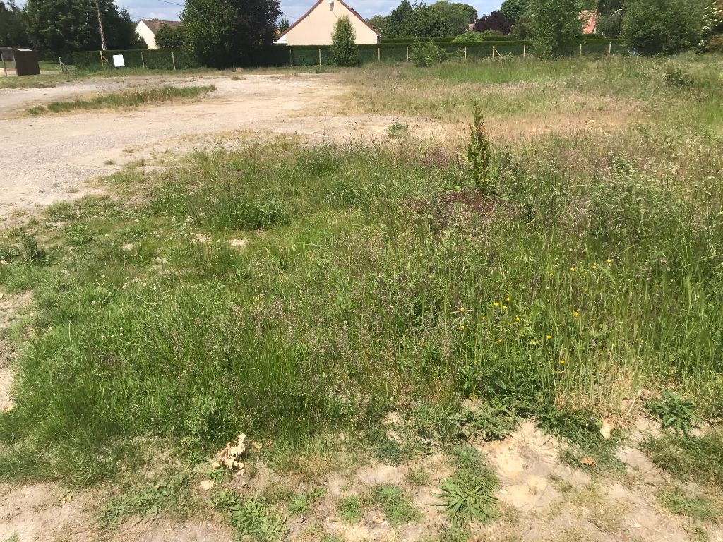 28210 ORMOY terrain constructible 1002 m2