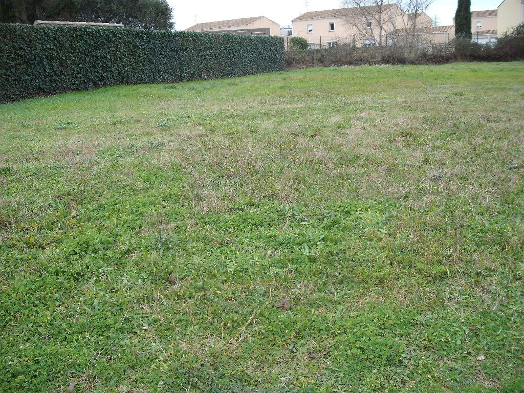 Terrain viabilisé de 1059 m²