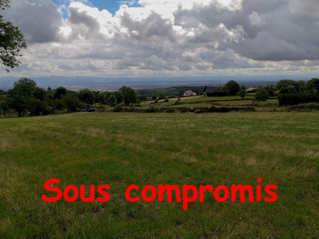 Terrain constructible Cezay 2 500 m2
