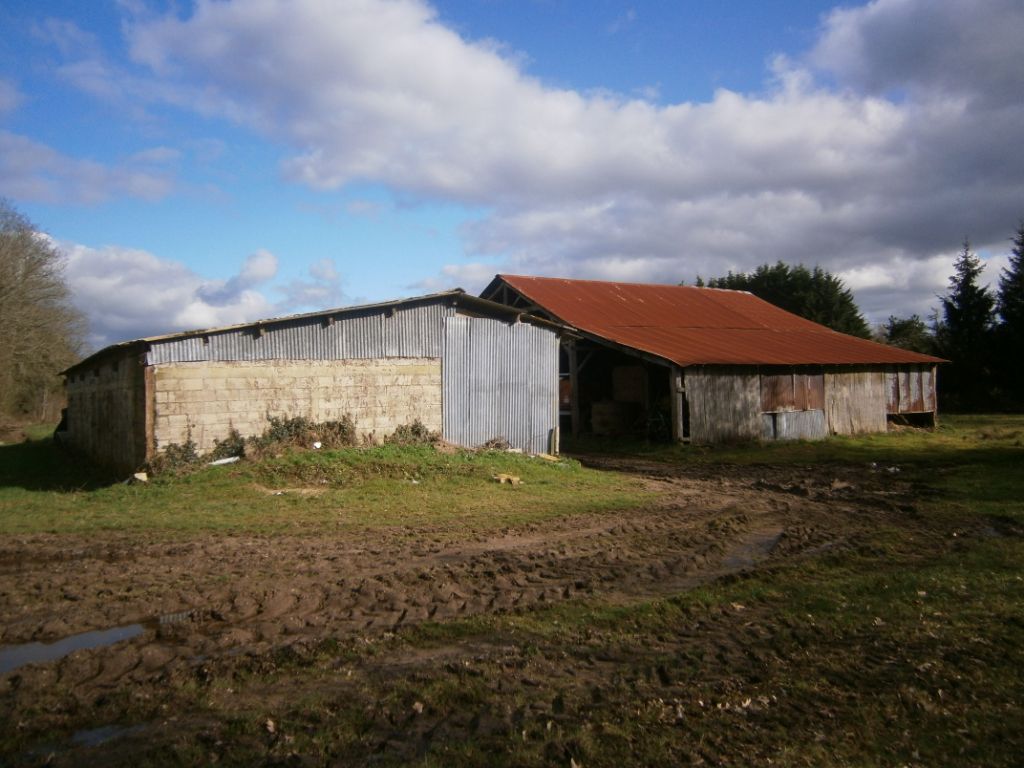 terrain et bâtiments