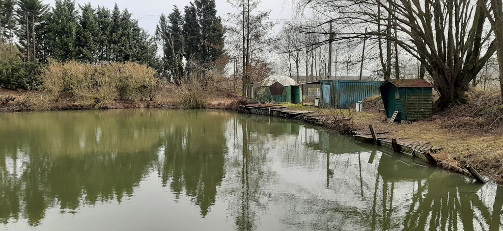 2 Etangs  de Pèche  à  20 MINUTES DE LILLE