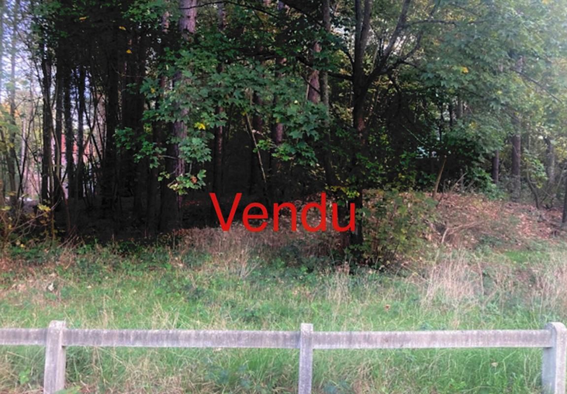 Terrain Constructible 1638 m2