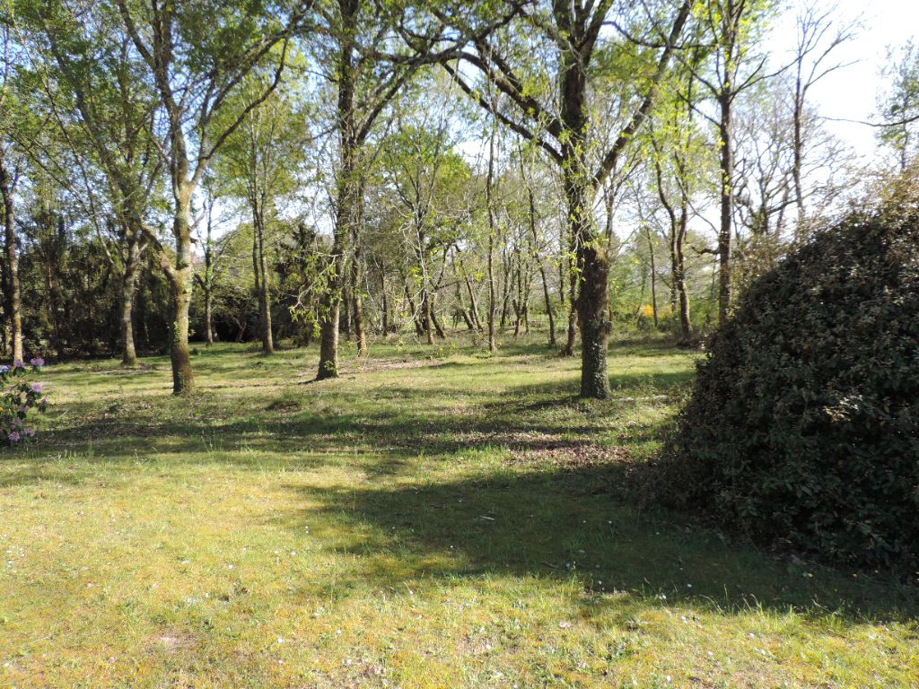 Terrain libre constructeur 2392M2