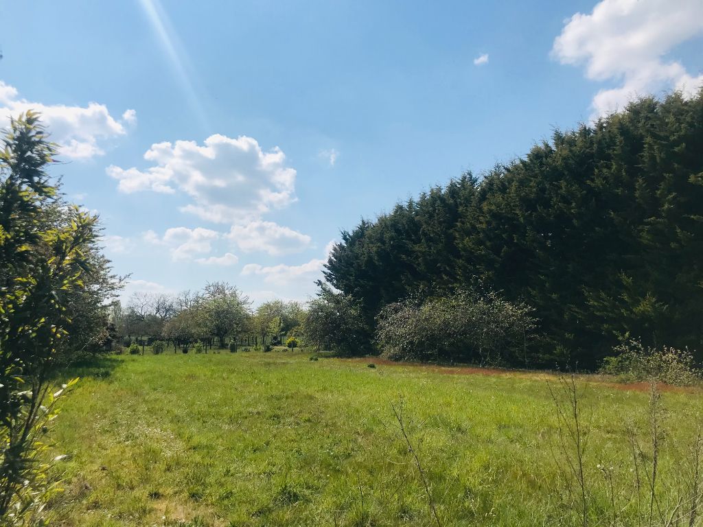 Terrain hors lotissement de 1858m² à Cormeray (41120)