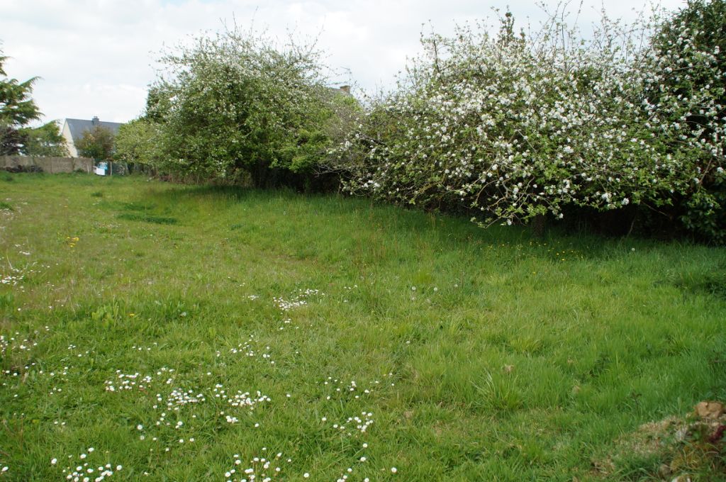 Terrain Ploërmel (Monterrein)1310 m2