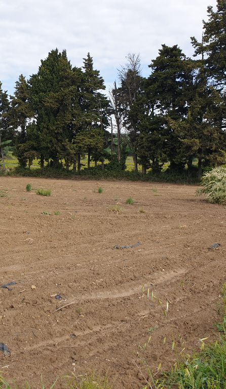 Terrain nu Non Constructible à Rochefort Du Gard de 2144 m2