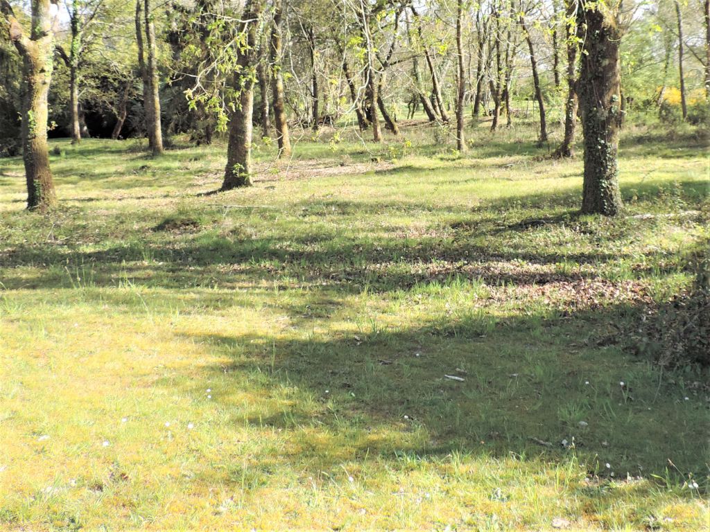 Terrain  2744 m2