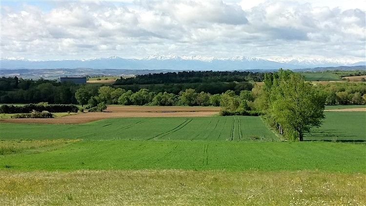 Terrain à bâtir à Villespy 8408m2