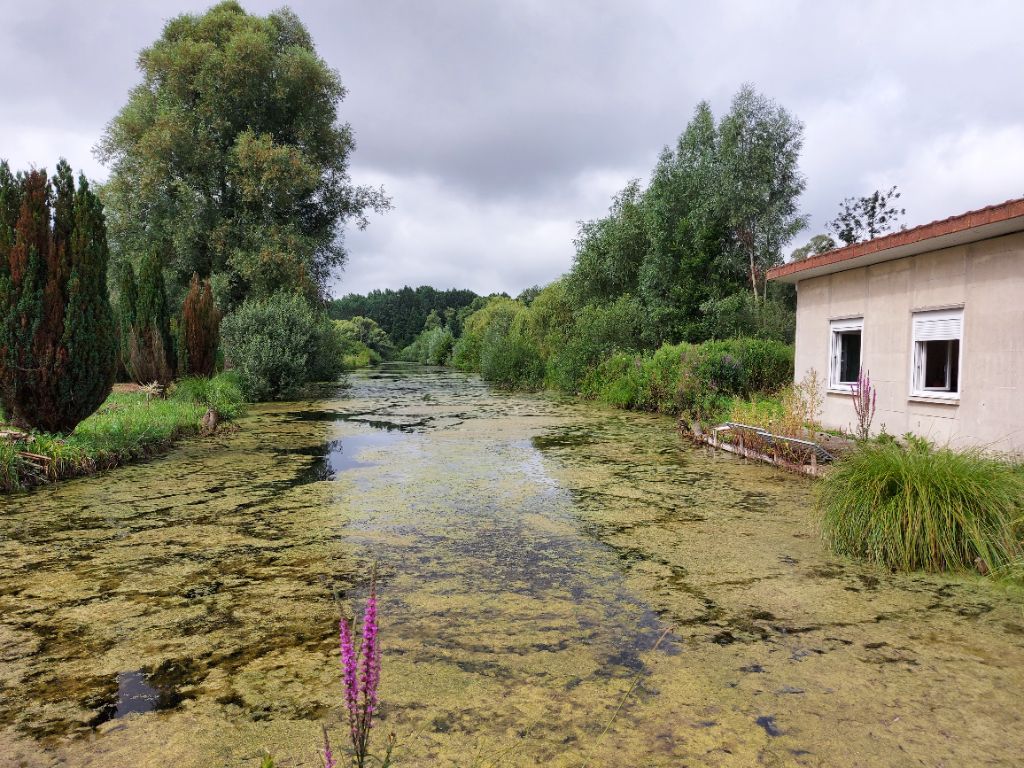 Grand Terrain de loisirs en bordure de Somme avec 2 iles sur étangs