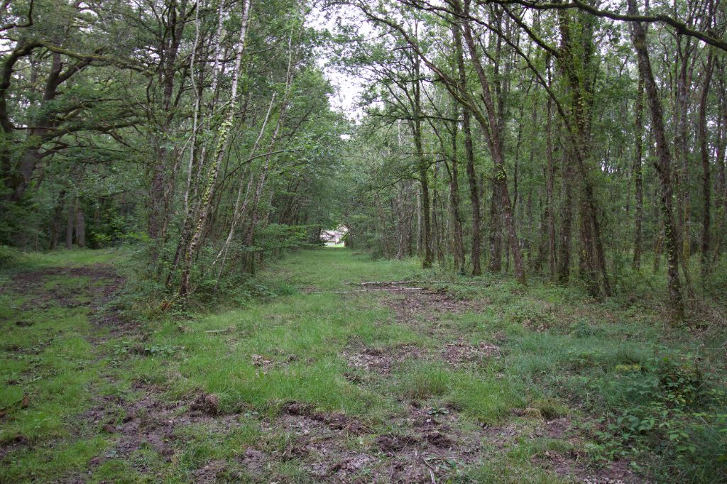 Propriété de chasse 41220 Saint Viatre