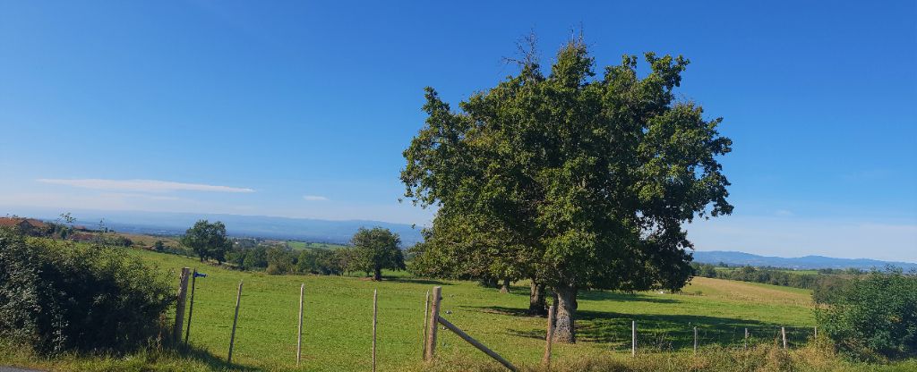 Terrain St Marcel De Felines 710 m2