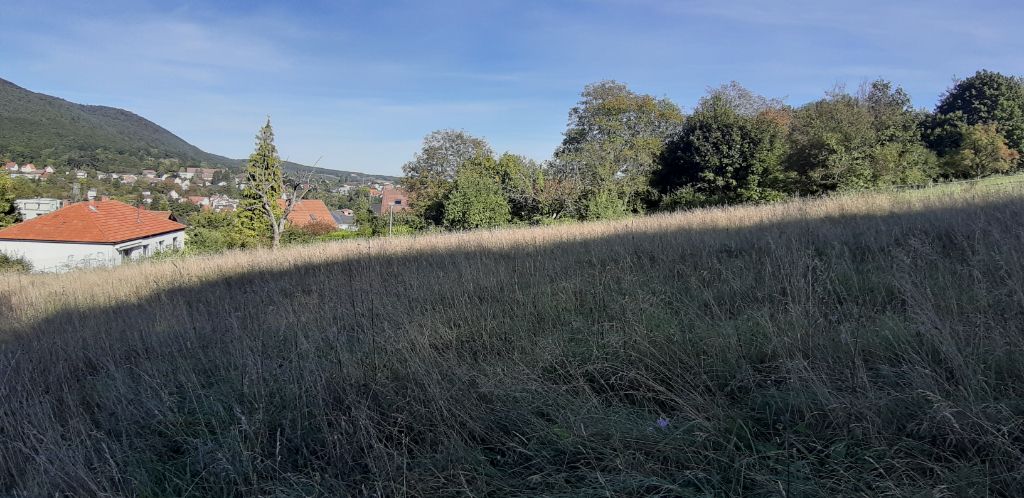 Terrain Niederbronn Les Bains 1750 m2