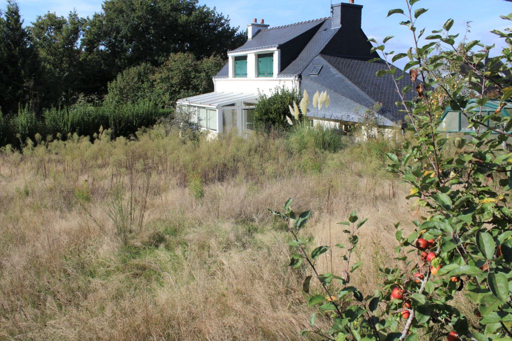 Maison en campagne