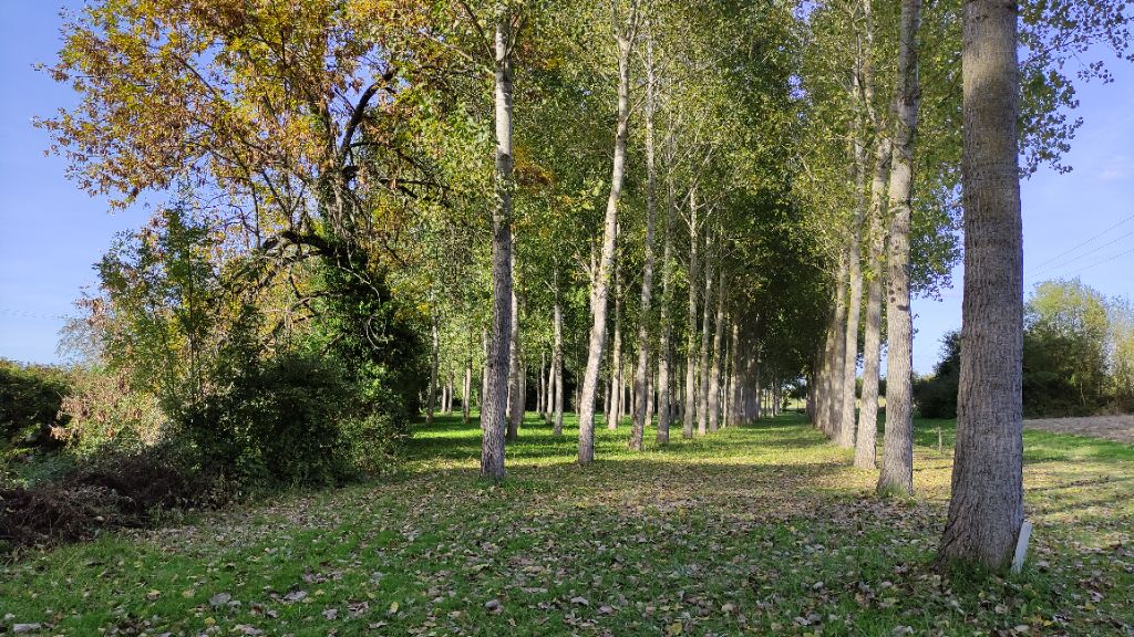 9.4 ha de terres agricoles plantées d'arbres + source