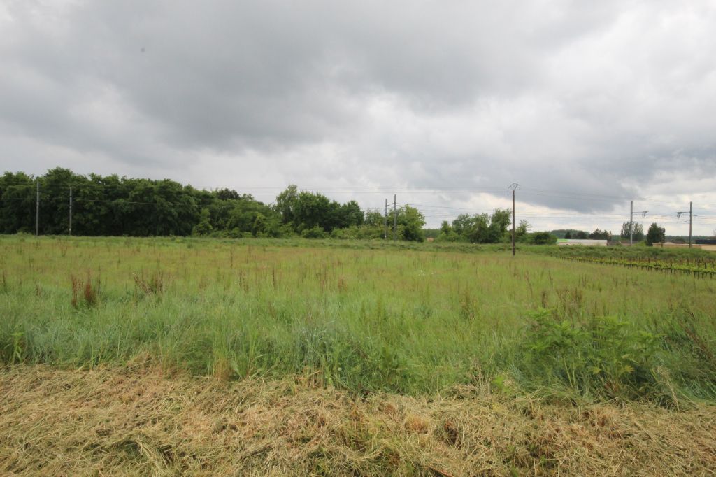 Terrain artisanal à bâtir de 7000 m2 situé à Le Pian sur Garonne