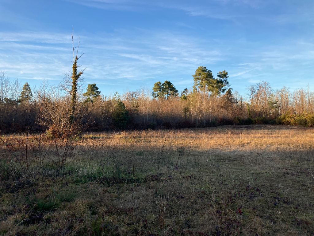 Terrain à bâtir d'env. 3441m²  en lotissement sur ST-PIERRE-DE-CHIGNAC  (24330)