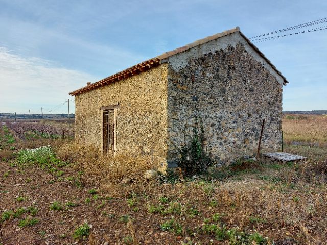 terrain agricole avec Mazet