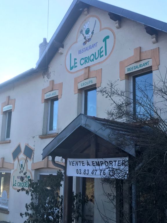 NANCY 54000 - MURS COMMERCIAUX LOUES 600 M²
