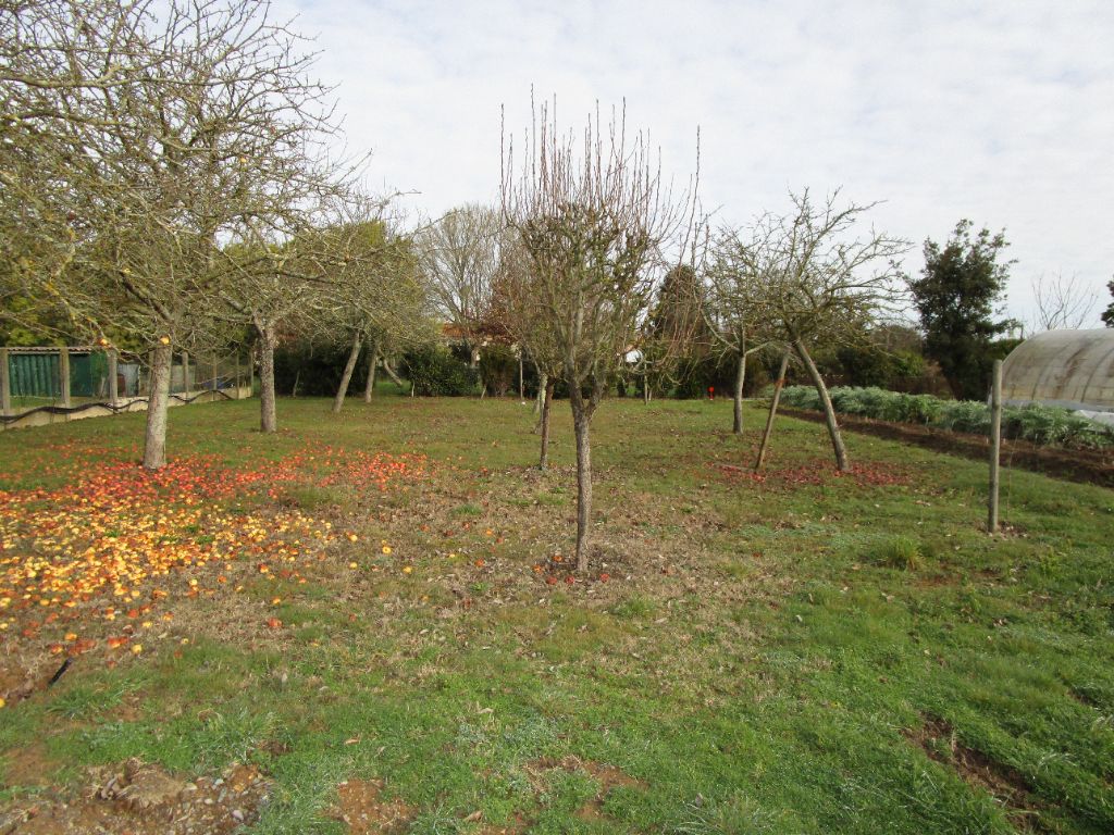 Terrain Saint Hilaire La Foret 459 m2