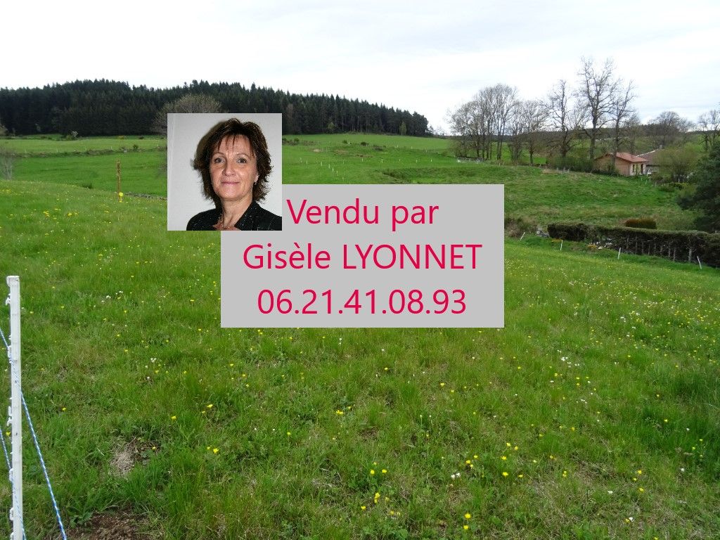 43220 Riotord Terrain à bâtir plat 6800m²