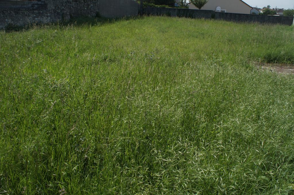 CHATELLERAULT TERRAIN CONSTRUCTIBLE  897 M² CLOS DE MUR A VIABILISER 3