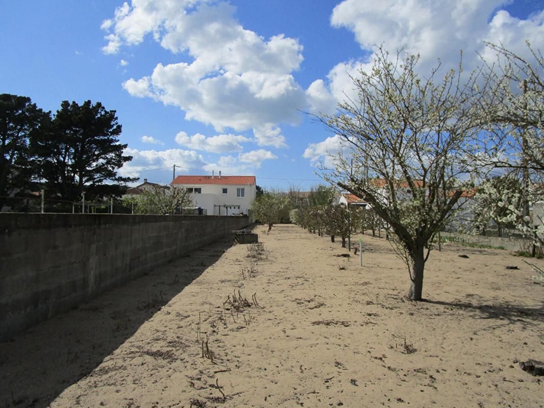 Terrain La Tranche Sur Mer 1011 m2