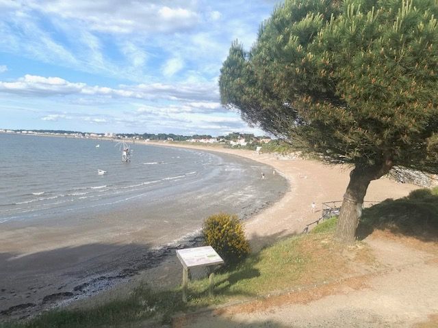 THARON PLAGE terrain 330 m2