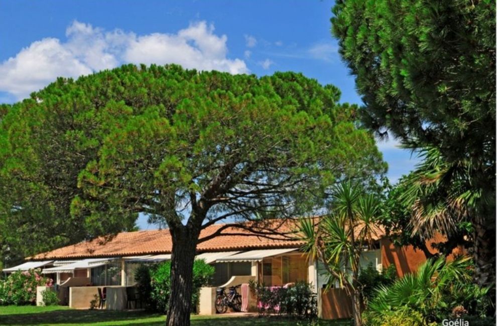 Appartement Perols 2 pièce(s) 23,17 m2 - terrasse - jardin - parking - 89 000