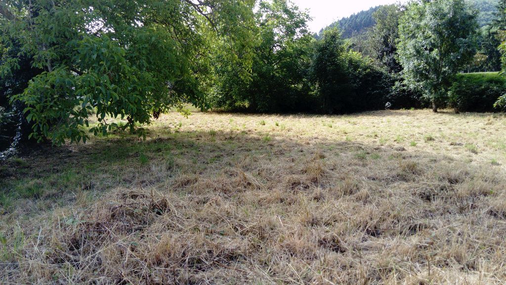 TERRAIN CONSTRUCTIBLE 59990 AUSSILLON (81200)