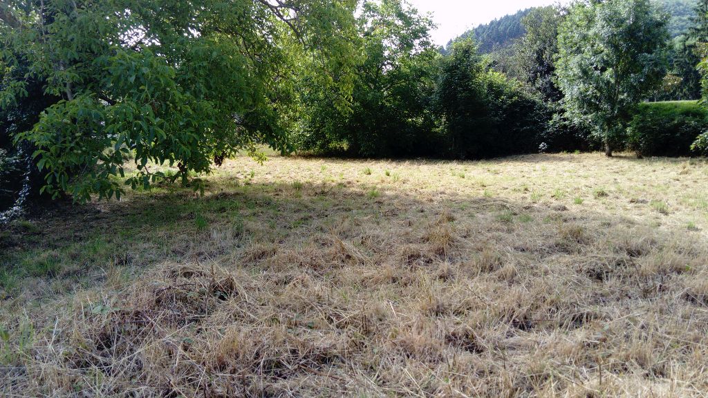 TERRAIN CONSTRUCTIBLE 59990  AUSSILLON (81200)