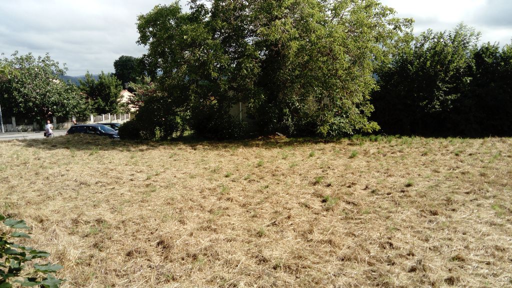 AUSSILLON TERRAIN CONSTRUCTIBLE 59990 AUSSILLON (81200) 2