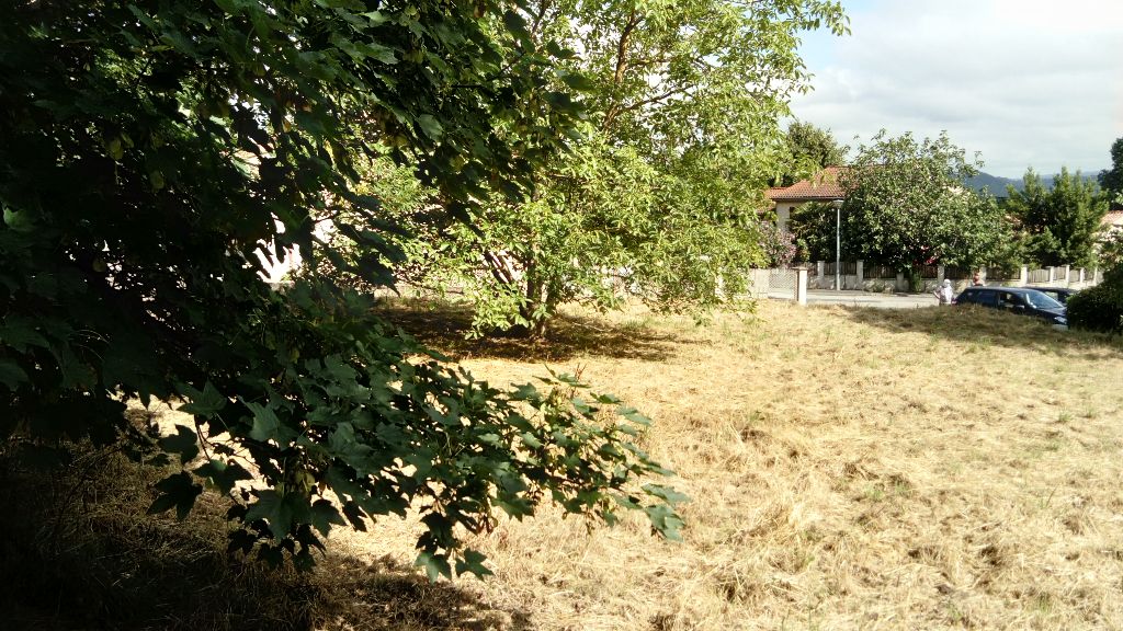 AUSSILLON TERRAIN CONSTRUCTIBLE 59990 AUSSILLON (81200) 4