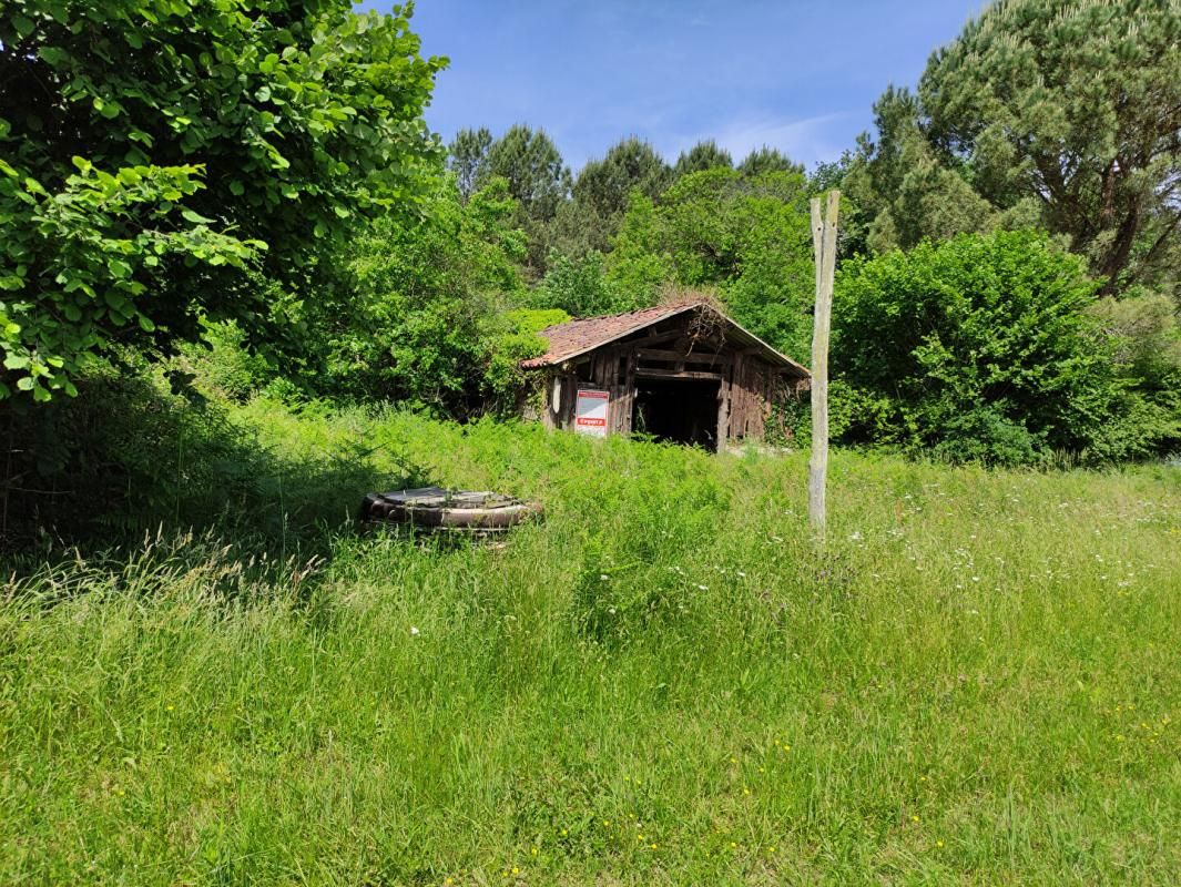 Terrain plat de 2000 m2 à bâtir