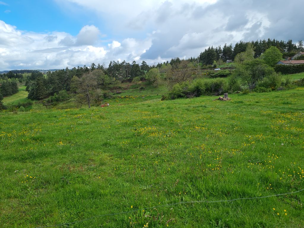 Entre SAINT PAL DE MONS 43620 et MONTFAUCON 43290 terrain à bâtir plat de 1195m²