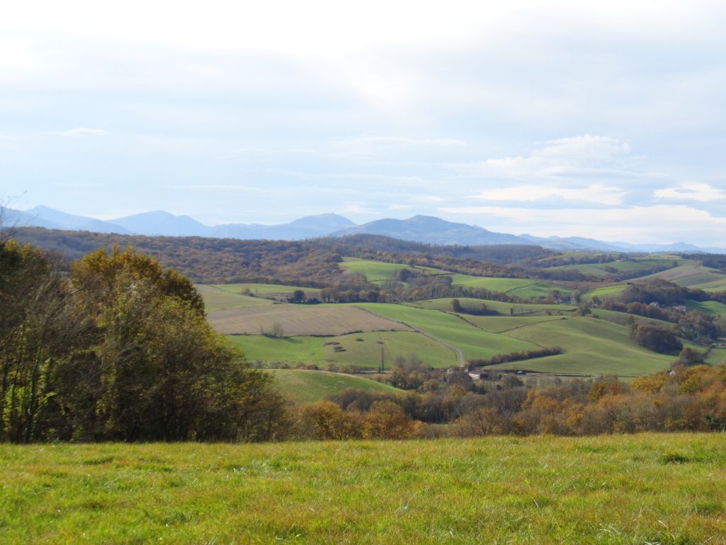 BIDACHE terrain constructible 5 HA 2