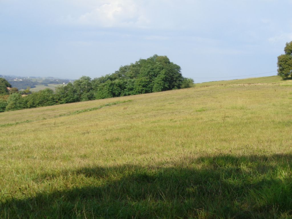 BIDACHE terrain constructible 5 HA 4
