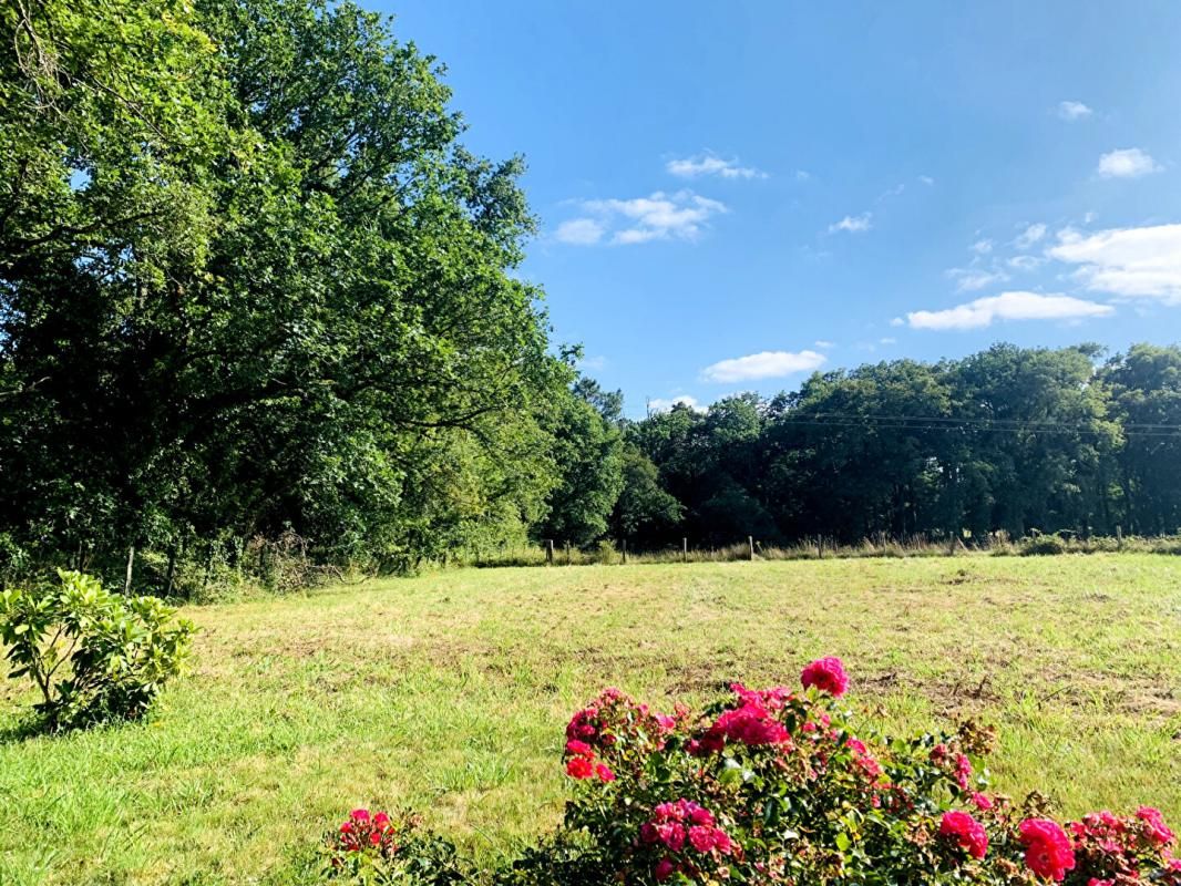 Terrain viabilisé 1147 m2 environnement calme, verdoyant