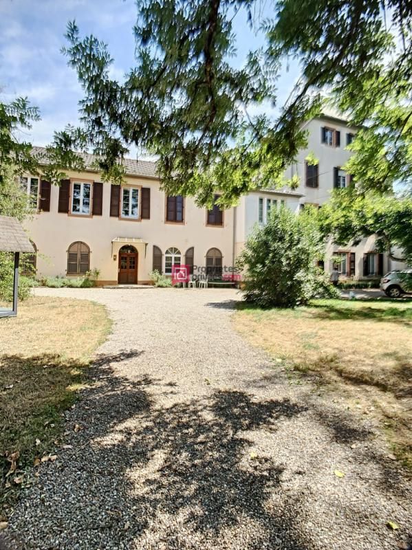 A Buhl, bel appartement T5 en RdC dans une bâtisse historique ceinte d'un vaste parc arboré