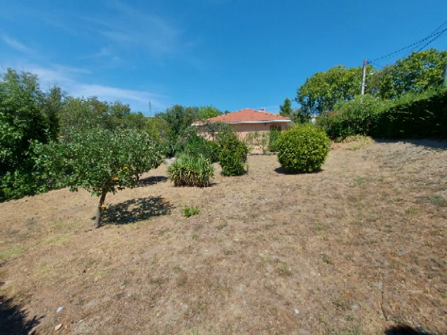 Trés belle maison sur un grand terrain  arboré et fleuri. Terrain DIVISIBLE