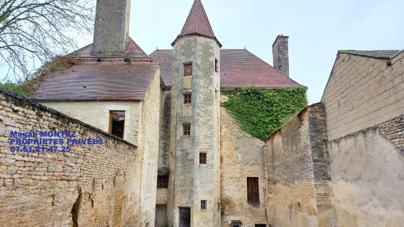 Demeure de prestige 10 pièce(s) 1025 m2 CHATILLON SUR SEINE