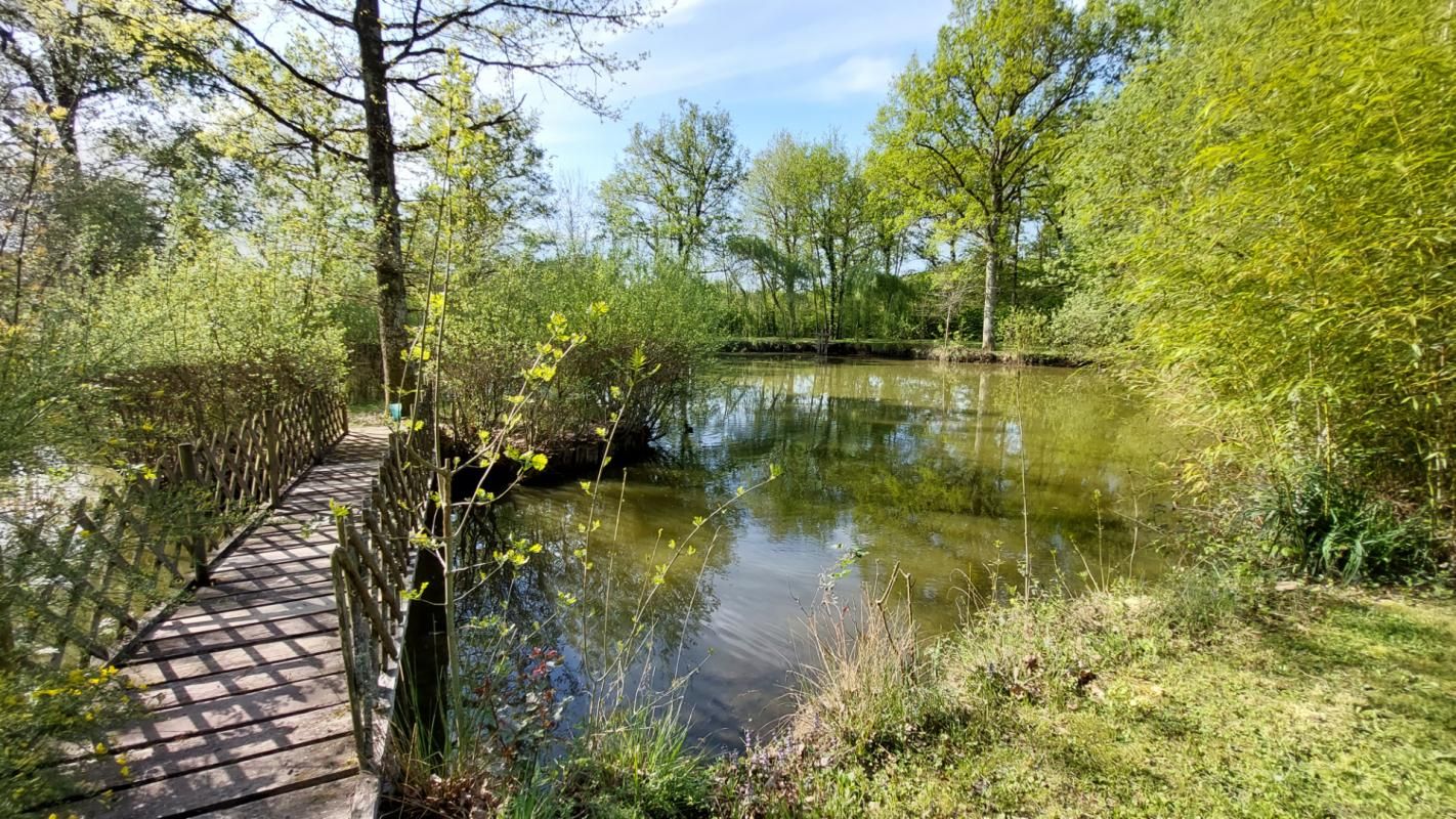 Etang de 1000M² sur Terrain de loisir de 5600M²