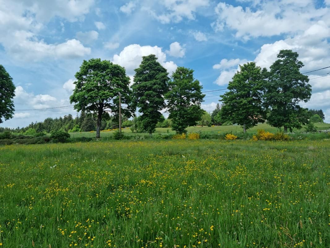 Terrain Raucoules 1491 m²